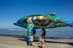 Cervia_003