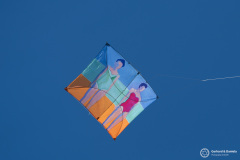 Cervia_012