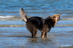 Cervia_019