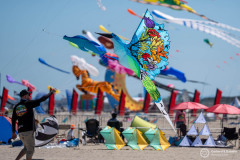 Cervia_029