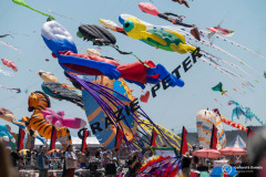 Cervia_034