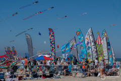 Cervia_037