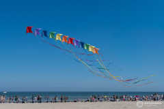 Cervia_038