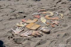 Cervia_041