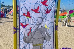 Cervia_044