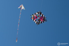 Cervia_046