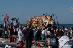 Cervia_050