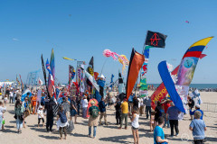 Cervia_059