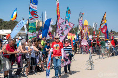 Cervia_073