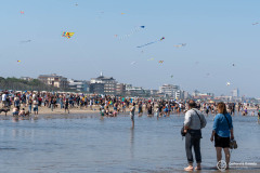 Cervia_088