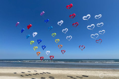 Cervia_104