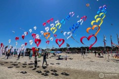 Cervia_105