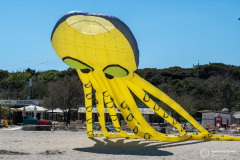 Cervia_108