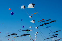 Cervia_112