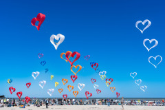 Cervia_167