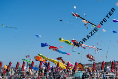 Cervia_168
