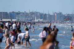 Cervia_173