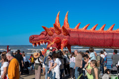 Cervia_180