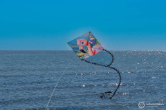 Cervia_181