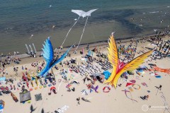 Cervia_187