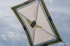 Cervia_206