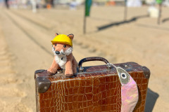 Jesolo_2026_004