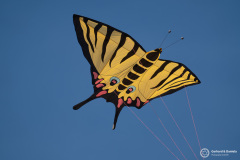 Jesolo_2026_071