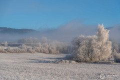 Kaernten_Herbst_25_002