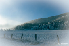 Kaernten_Herbst_25_003