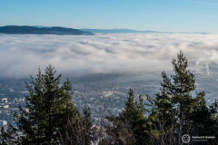 Kaernten_Herbst_25_006