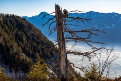 Kaernten_Herbst_25_012