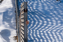 Kaernten_Herbst_25_040