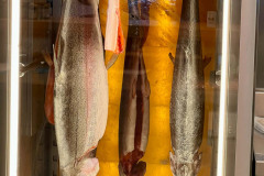 Kaernten_Herbst_25_064