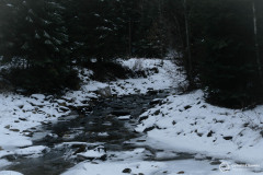 Kaernten_Herbst_25_074