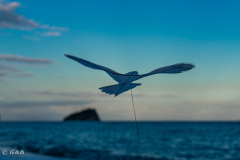 OSOW_Spotorno_2024_11