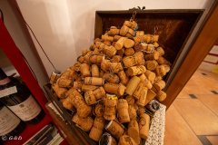 OSOW_Spotorno_2024_18