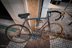 OSOW_Spotorno_2024_20