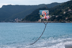 OSOW_Spotorno_2024_32