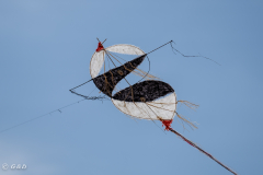 OSOW_Spotorno_2024_52