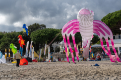 OSOW_Spotorno_2024_62