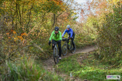 PANNONIA GRAVEL 2025 #pannoniagravel #gravel #offroad #onroad #burgenland #neusiedlersee #nrm #neusiedlerseeradmarathon #yourpictrs #sportshot_your_pictrs @Sportshot Photography www.sportshot.de