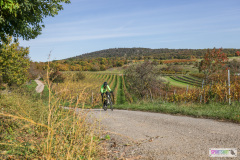 PANNONIA GRAVEL 2025 #pannoniagravel #gravel #offroad #onroad #burgenland #neusiedlersee #nrm #neusiedlerseeradmarathon #yourpictrs #sportshot_your_pictrs @Sportshot Photography www.sportshot.de