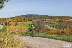 PANNONIA GRAVEL 2025 #pannoniagravel #gravel #offroad #onroad #burgenland #neusiedlersee #nrm #neusiedlerseeradmarathon #yourpictrs #sportshot_your_pictrs @Sportshot Photography www.sportshot.de