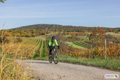 PANNONIA GRAVEL 2025 #pannoniagravel #gravel #offroad #onroad #burgenland #neusiedlersee #nrm #neusiedlerseeradmarathon #yourpictrs #sportshot_your_pictrs @Sportshot Photography www.sportshot.de