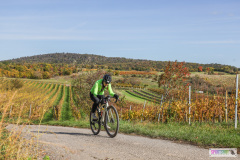 PANNONIA GRAVEL 2025 #pannoniagravel #gravel #offroad #onroad #burgenland #neusiedlersee #nrm #neusiedlerseeradmarathon #yourpictrs #sportshot_your_pictrs @Sportshot Photography www.sportshot.de