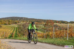 PANNONIA GRAVEL 2025 #pannoniagravel #gravel #offroad #onroad #burgenland #neusiedlersee #nrm #neusiedlerseeradmarathon #yourpictrs #sportshot_your_pictrs @Sportshot Photography www.sportshot.de