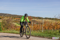 PANNONIA GRAVEL 2025 #pannoniagravel #gravel #offroad #onroad #burgenland #neusiedlersee #nrm #neusiedlerseeradmarathon #yourpictrs #sportshot_your_pictrs @Sportshot Photography www.sportshot.de