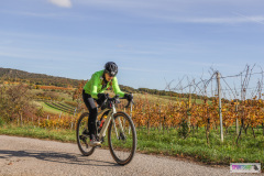 PANNONIA GRAVEL 2025 #pannoniagravel #gravel #offroad #onroad #burgenland #neusiedlersee #nrm #neusiedlerseeradmarathon #yourpictrs #sportshot_your_pictrs @Sportshot Photography www.sportshot.de