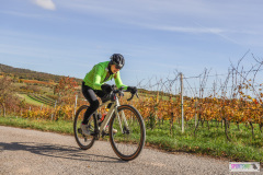 PANNONIA GRAVEL 2025 #pannoniagravel #gravel #offroad #onroad #burgenland #neusiedlersee #nrm #neusiedlerseeradmarathon #yourpictrs #sportshot_your_pictrs @Sportshot Photography www.sportshot.de