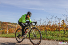 PANNONIA GRAVEL 2025 #pannoniagravel #gravel #offroad #onroad #burgenland #neusiedlersee #nrm #neusiedlerseeradmarathon #yourpictrs #sportshot_your_pictrs @Sportshot Photography www.sportshot.de